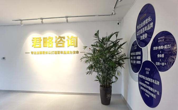 数字化时代企业管理的改革与突围 财务咨询与市场调查的双核驱动