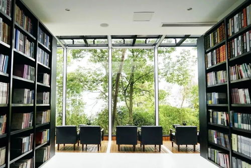 以书为媒 一对年轻夫妇的浪漫创业与数字文化传播之路